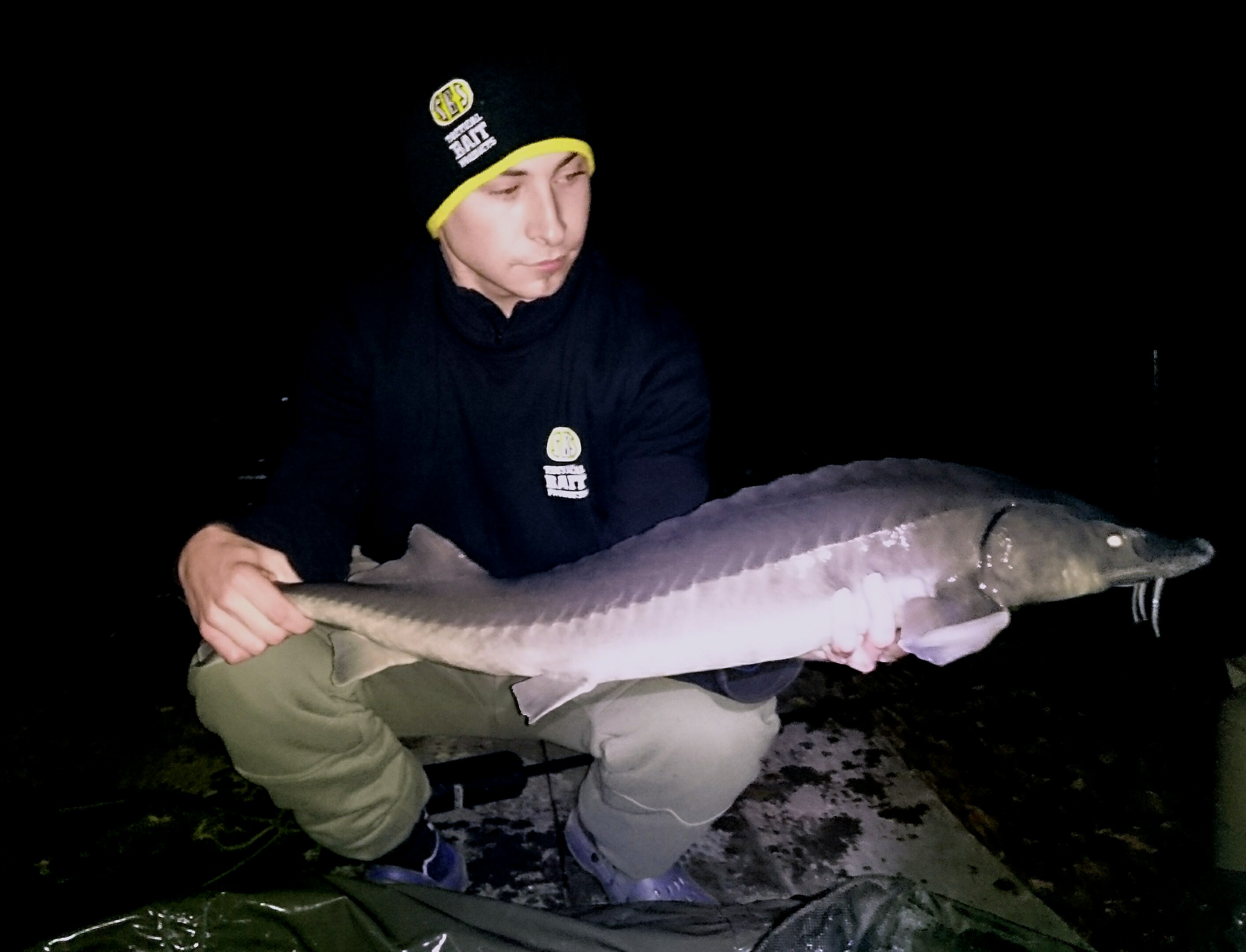 Stör 6,5 Kg auf Squid Octopus Boilie